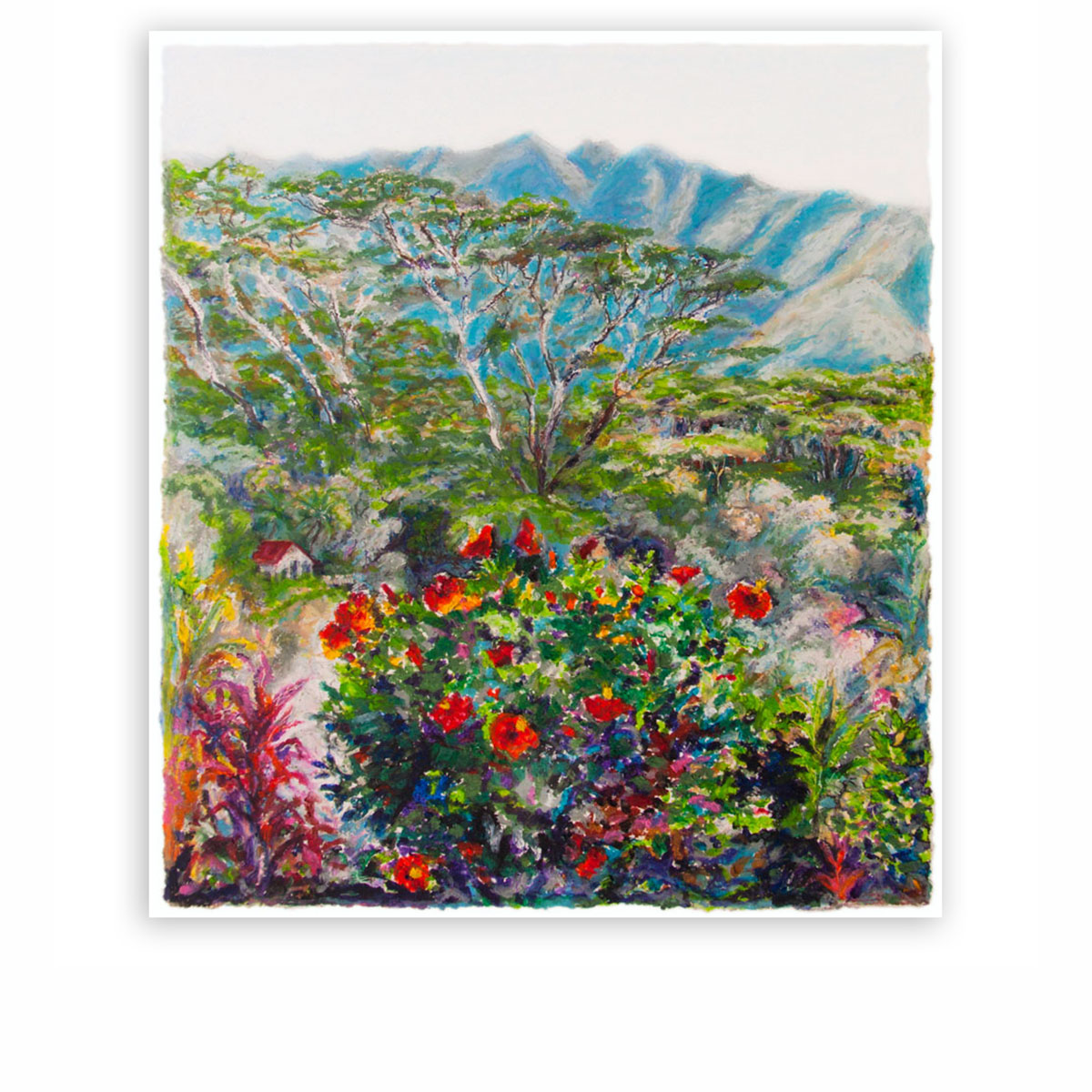 Hibiscus-in-Manoa-Valley, Michael daly Artist, Oil pastel on paper