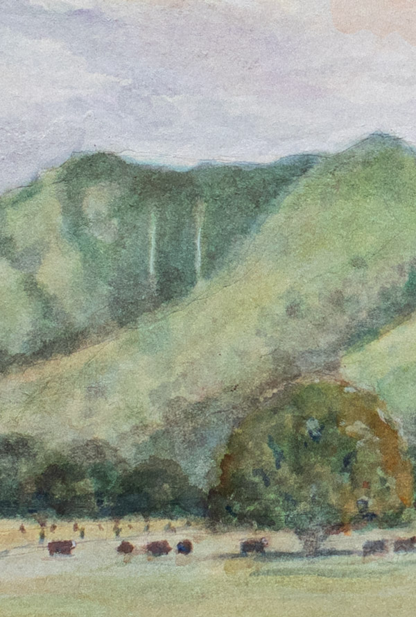 Makaleha-Mountian-Range-Kauai-Watercolour-by-Michael-Daly-Artist-8392-sm-web-2